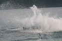 Water Ski 29-04-08 - 60